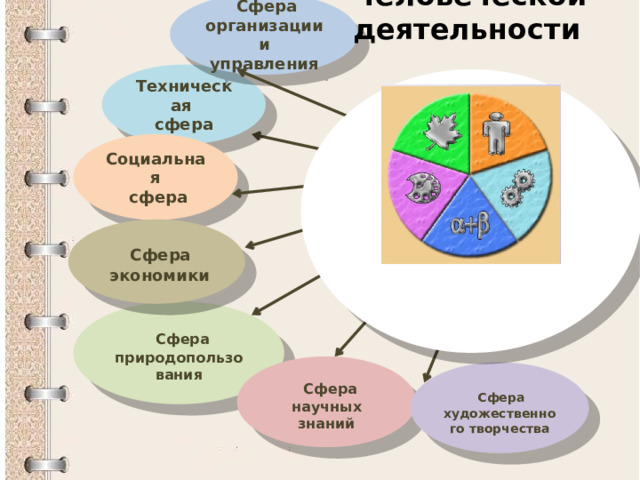 Сфера организация. Сферы научной деятельности. Сферы организации. Сфера знаний. Художественная сфера деятельности.