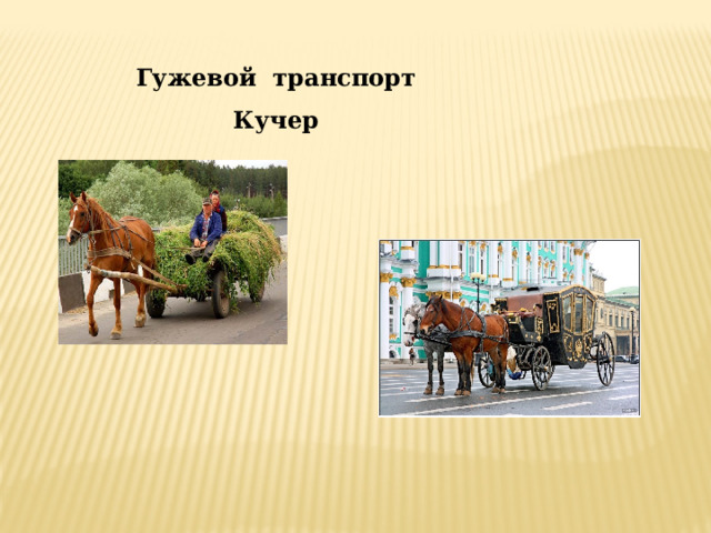 Гужевой транспорт Кучер 