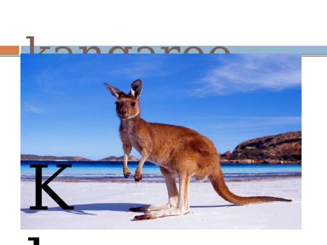  kangaroo K k 