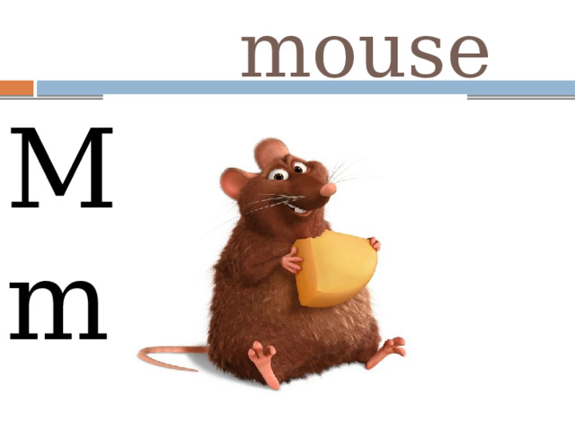  mouse M m 