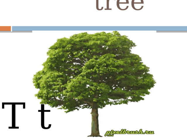  tree T t 