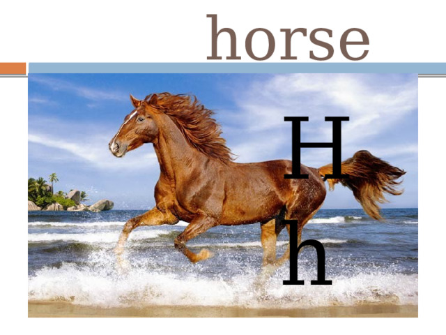  horse H  h 