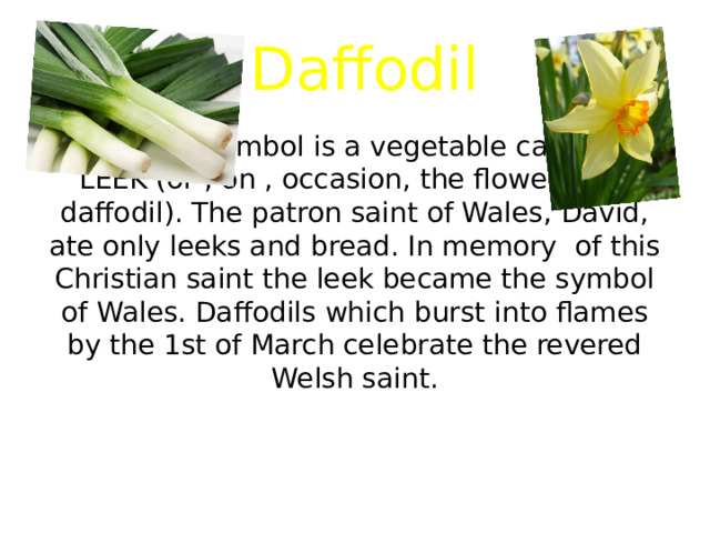  Daffodil The welsh symbol is a vegetable called the LEEK (or , on , occasion, the flower , the daffodil). The patron saint of Wales, David, ate only leeks and bread. In memory  of this Christian saint the leek became the symbol of Wales. Daffodils which burst into flames by the 1st of March celebrate the revered Welsh saint. 