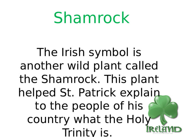 Shamrock The Irish symbol is another wild plant called the Shamrock. This plant helped St. Patrick explain to the people of his country what the Holy Trinity is. 