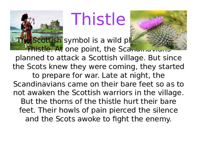 Thistle The Scottish symbol is a wild plant called the Thistle. At one point, the Scandinavians planned to attack a Scottish village. But since the Scots knew they were coming, they started to prepare for war. Late at night, the Scandinavians came on their bare feet so as to not awaken the Scottish warriors in the village. But the thorns of the thistle hurt their bare feet. Their howls of pain pierced the silence and the Scots awoke to fight the enemy. 