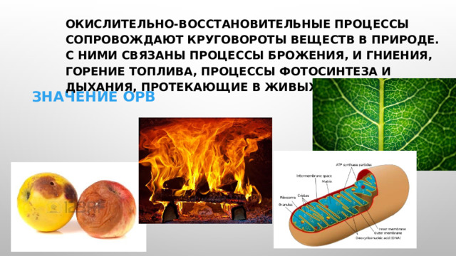 Окислительно-восстановительные процессы сопровождают круговороты веществ в природе. С ними связаны процессы брожения, и гниения, горение топлива, процессы фотосинтеза и дыхания, протекающие в живых организмах. Значение ОРВ 