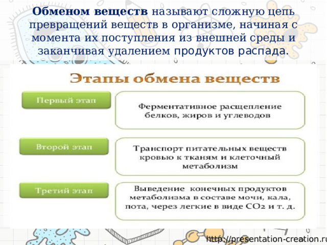 Кроссворд пластический и энергетический обмен. Энергетический обмен презентация 10 класс биология.