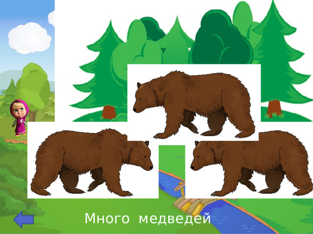 Много медведей 