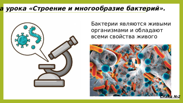 Тема урока «Строение и многообразие бактерий». Бактерии являются живыми организмами и обладают всеми свойства живого Слайд №2 