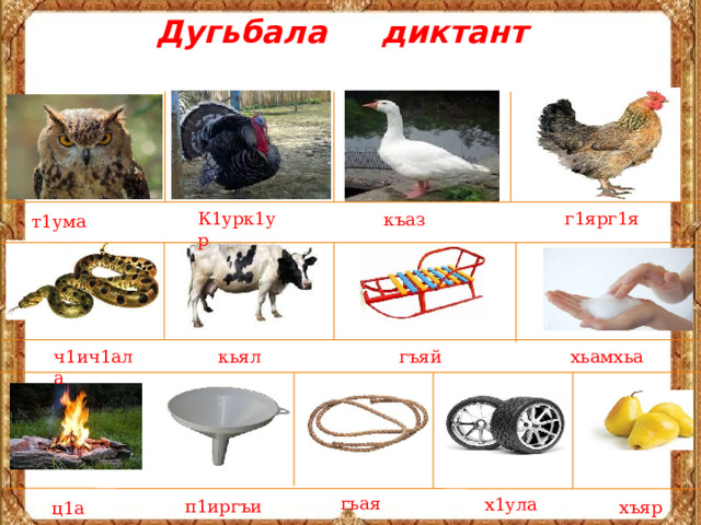 Дугьбала диктант г1ярг1я К1урк1ур къаз т1ума ч1ич1ала кьял гъяй хьамхьа гьая х1ула п1иргъи хъяр ц1а 