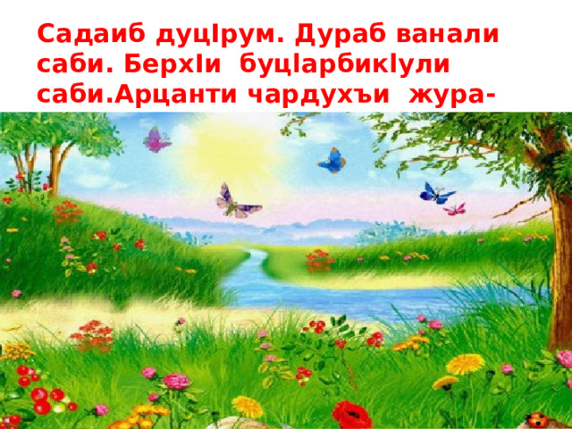 Садаиб дуцIрум. Дураб ванали саби. БерхIи буцlарбикlули саби.Aрцанти чардухъи жура-журала макьамта дучlули сари. 