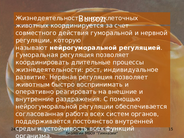 Нейрогуморальная регуляция деятельности организма. Нейрогуморальная регуляция деятельности организма. Нейрогуморальная регуляция. Кроссворд на тему гуморальная регуляция. Нейрогуморальная регуляция деятельности организма.