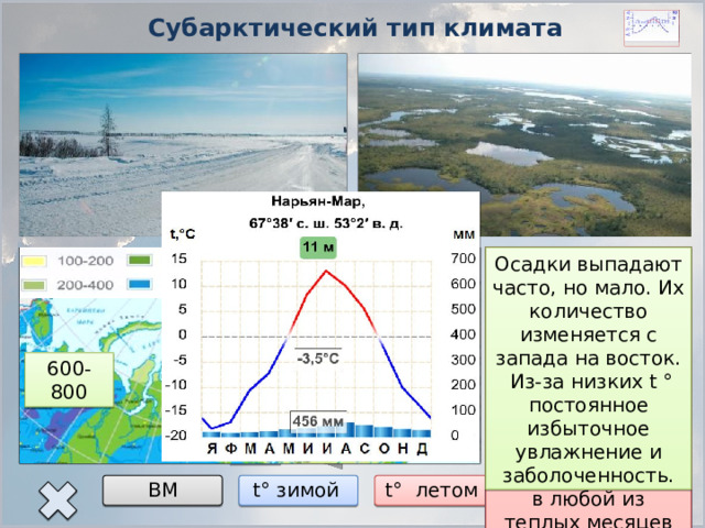 Осадки арктического пояса