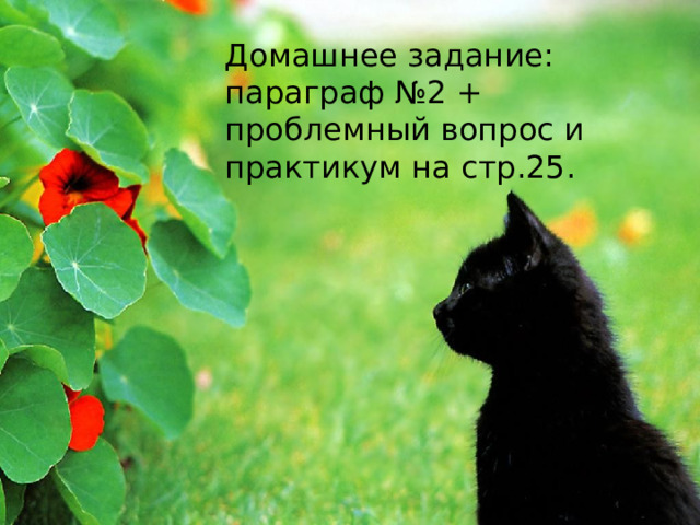 Домашнее задание: параграф №2 + проблемный вопрос и практикум на стр.25. 