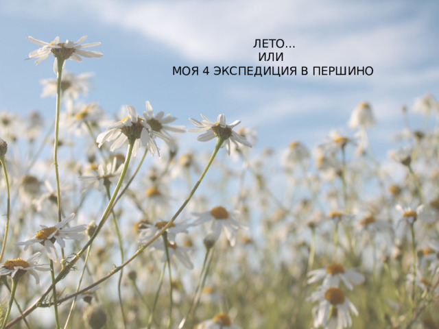  ЛЕТО…  ИЛИ  МОЯ 4 ЭКСПЕДИЦИЯ В ПЕРШИНО 