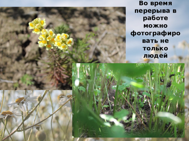 Во время перерыва в работе можно фотографировать не только людей 