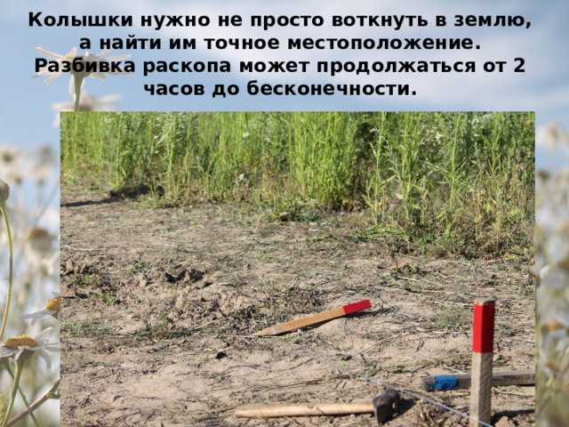 Колышки нужно не просто воткнуть в землю, а найти им точное местоположение. Разбивка раскопа может продолжаться от 2 часов до бесконечности. 