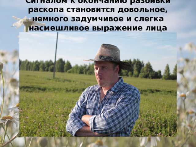 Сигналом к окончанию разбивки раскопа становится довольное, немного задумчивое и слегка насмешливое выражение лица начальника 