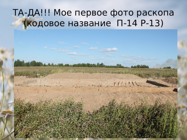 ТА-ДА!!! Мое первое фото раскопа (кодовое название П-14 Р-13) 