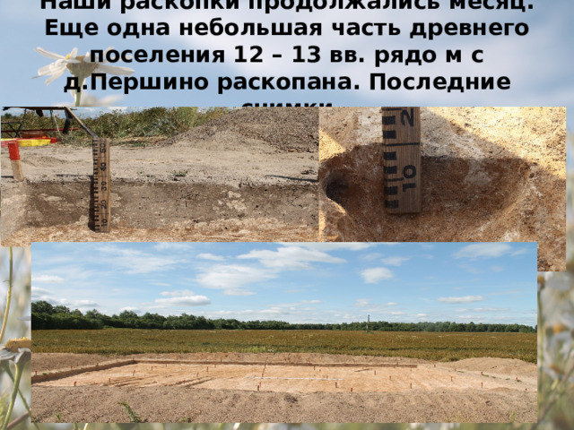 Наши раскопки продолжались месяц. Еще одна небольшая часть древнего поселения 12 – 13 вв. рядо м с д.Першино раскопана. Последние снимки 