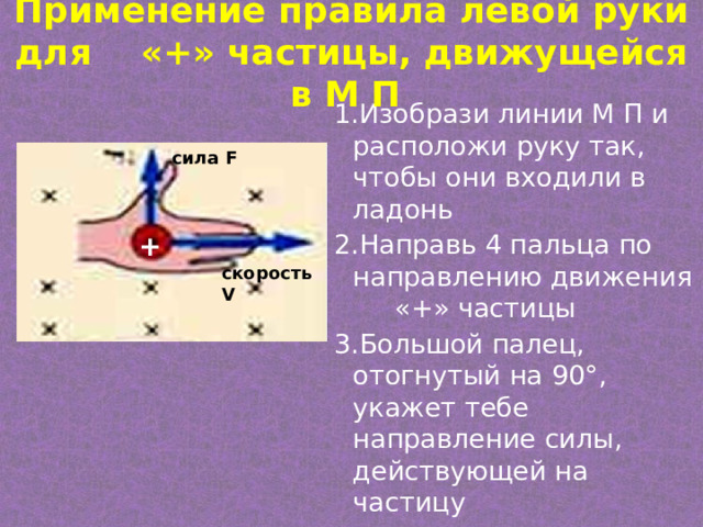  Применение правила левой руки для «+» частицы, движущейся в М П   1.Изобрази линии М П и расположи руку так, чтобы они входили в ладонь 2.Направь 4 пальца по направлению движения «+» частицы 3.Большой палец, отогнутый на 90°, укажет тебе направление силы, действующей на частицу сила F + скорость V 