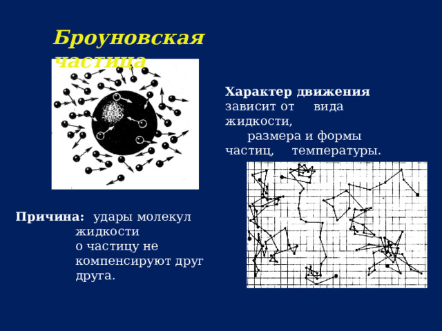 Броуновская  частица Характер движения зависит от  вида жидкости,   размера и формы частиц,  температуры. Причина: удары молекул жидкости  о частицу не компенсируют друг друга. 