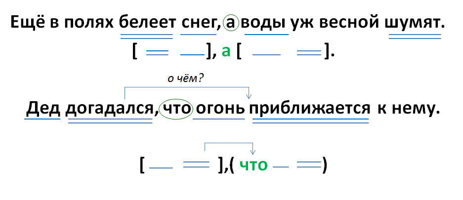 Составить схему предложения 4 класс по русскому языку с примером