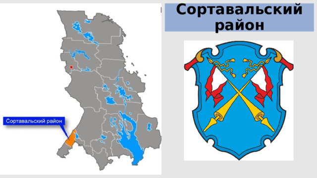Сортавальский район 