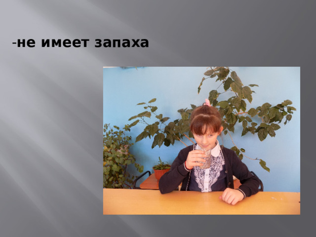 - не имеет запаха 