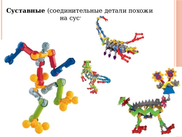 Суставные (соединительные детали похожи на суставы). 