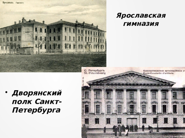 Ярославская гимназия Дворянский полк Санкт-Петербурга 