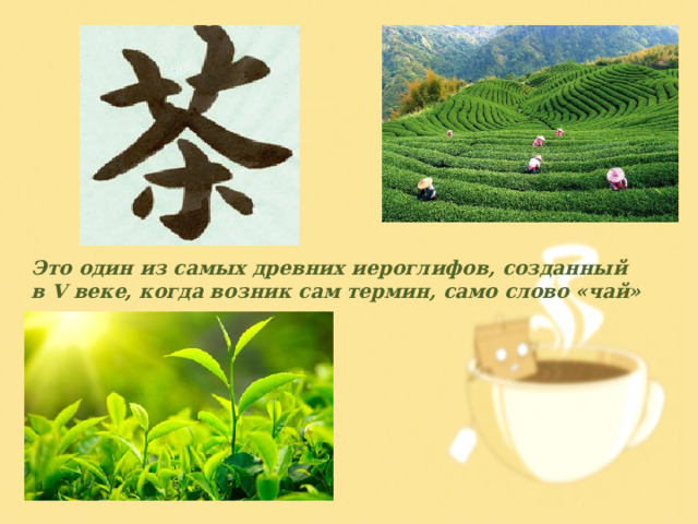 Это один из самых древних иероглифов, созданный в V веке, когда возник сам термин, само слово «чай» 