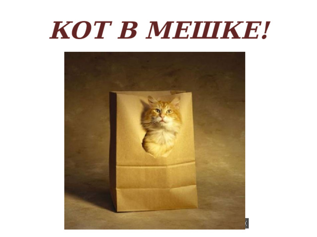 КОТ В МЕШКЕ! 