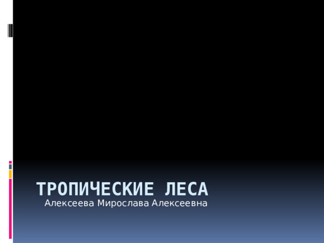  Тропические леса Алексеева Мирослава Алексеевна 