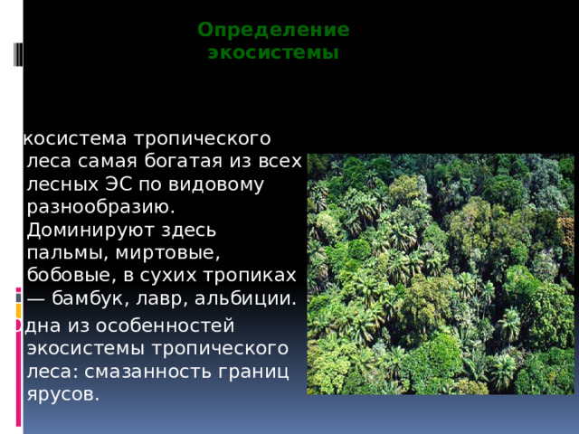 Определение экосистемы Экосистема тропического леса самая богатая из всех лесных ЭС по видовому разнообразию. Доминируют здесь пальмы, миртовые, бобовые, в сухих тропиках — бамбук, лавр, альбиции. Одна из особенностей экосистемы тропического леса: смазанность границ ярусов. 