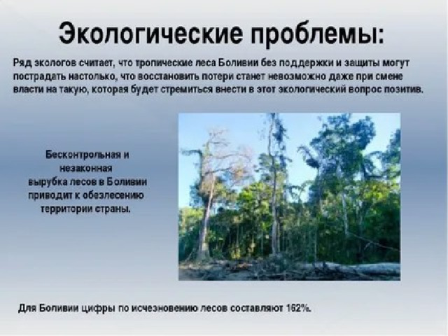Проблема тропического леса. Экологические проблемы тропических лесов. Экологические проблемы влажных тропических лесов.. Вырубка экваториальных лесов. Проблемы влажных экваториальных лесов.