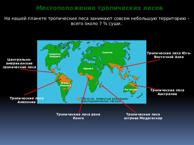 Тропический расположение. Южной Америки, Юго-Восточной Азии и Африк.