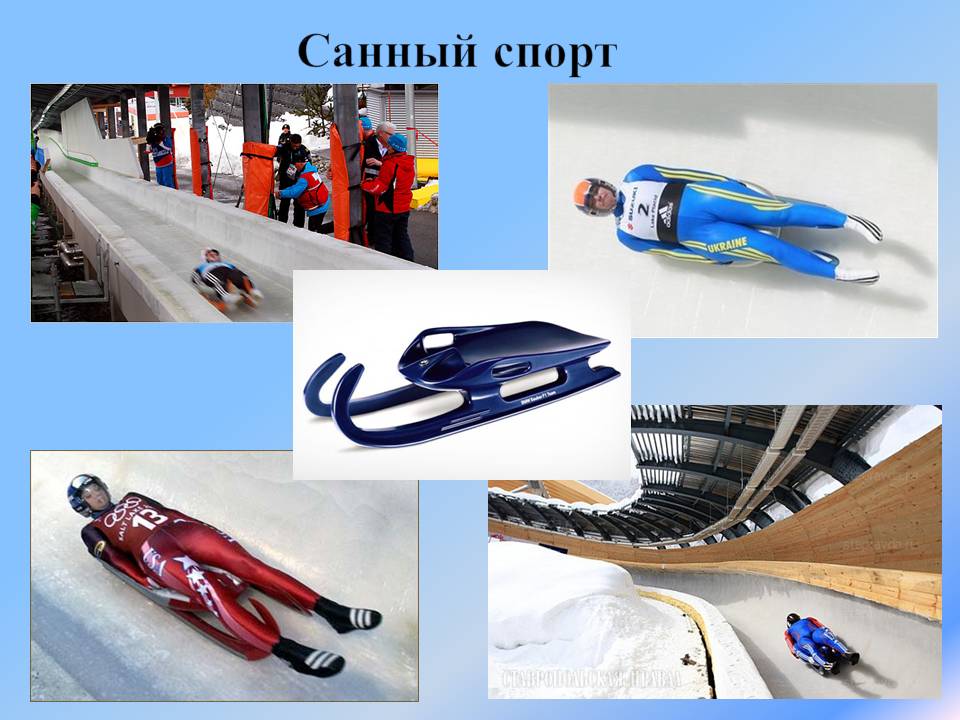 Санный спорт презентация