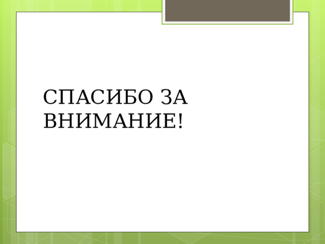 СПАСИБО ЗА ВНИМАНИЕ! 