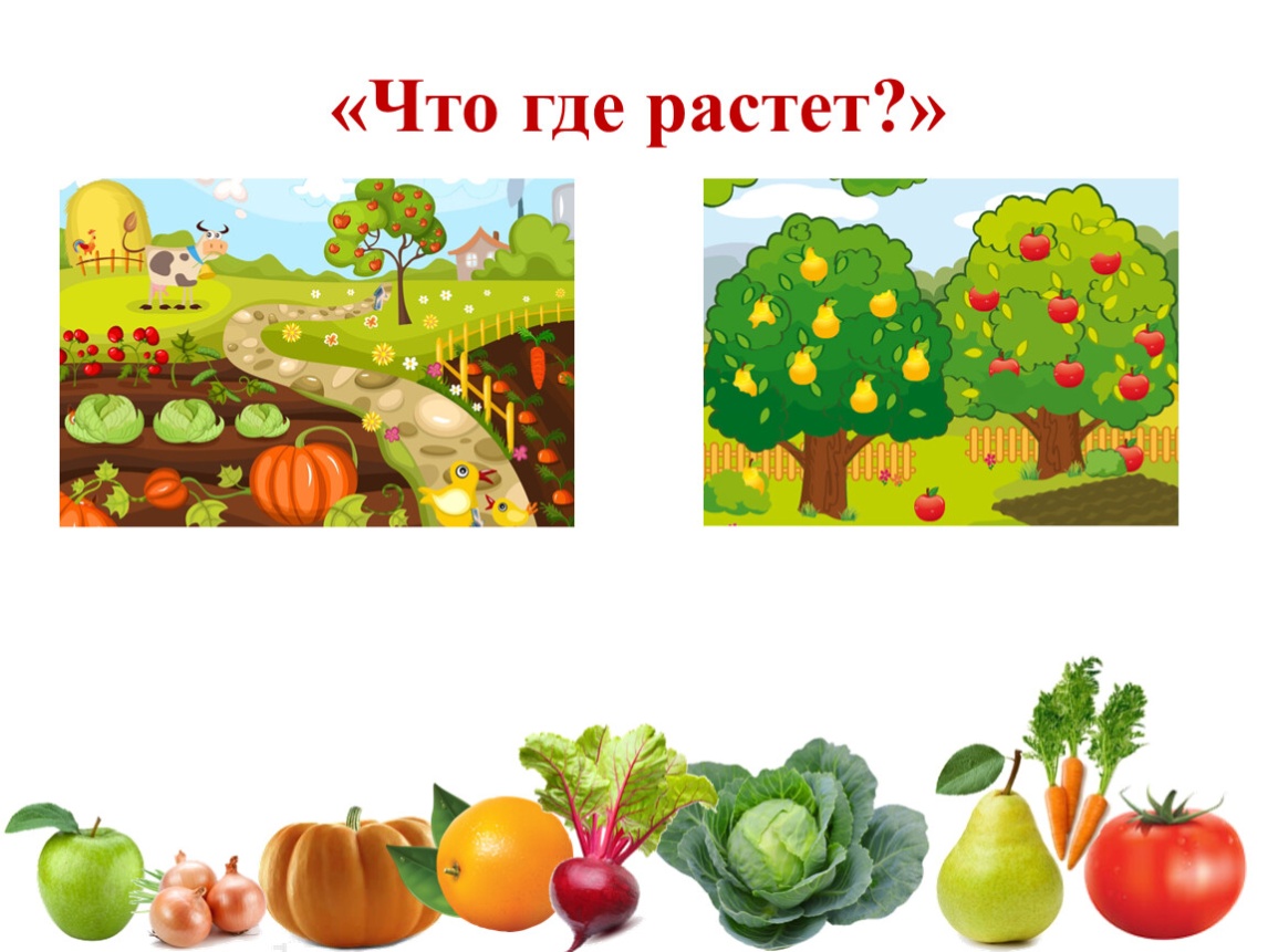 В саду ли в огороде картинки для детей