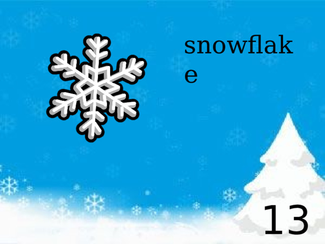 snowflake 13 