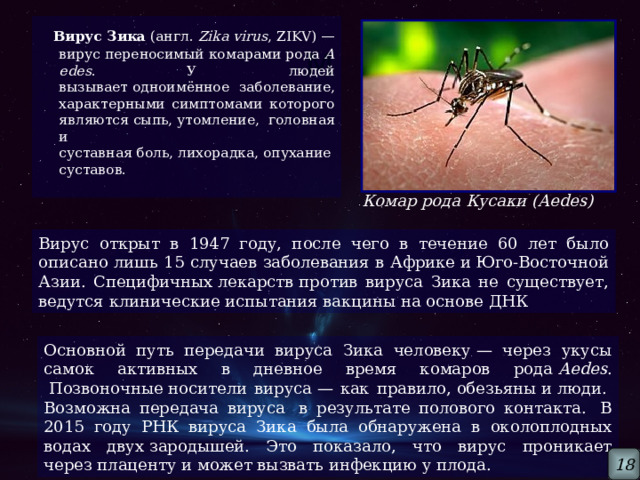  Вирус Зика  (англ.  Zika virus , ZIKV) —вирус переносимый комарами рода  Aedes . У людей вызывает одноимённое заболевание, характерными симптомами которого являются сыпь, утомление, головная и суставная боль, лихорадка, опухание суставов. м Комар рода Кусаки (Aedes) Вирус открыт в 1947 году, после чего в течение 60 лет было описано лишь 15 случаев заболевания в Африке и Юго-Восточной Азии. Специфичных лекарств против вируса Зика не существует, ведутся клинические испытания вакцины на основе ДНК Основной путь передачи вируса Зика человеку — через укусы самок активных в дневное время комаров рода  Aedes .  Позвоночные носители вируса — как правило, обезьяны и люди.  Возможна передача вируса  в результате полового контакта.  В 2015 году РНК вируса Зика была обнаружена в околоплодных водах двух зародышей. Это показало, что вирус проникает через плаценту и может вызвать инфекцию у плода. 18 