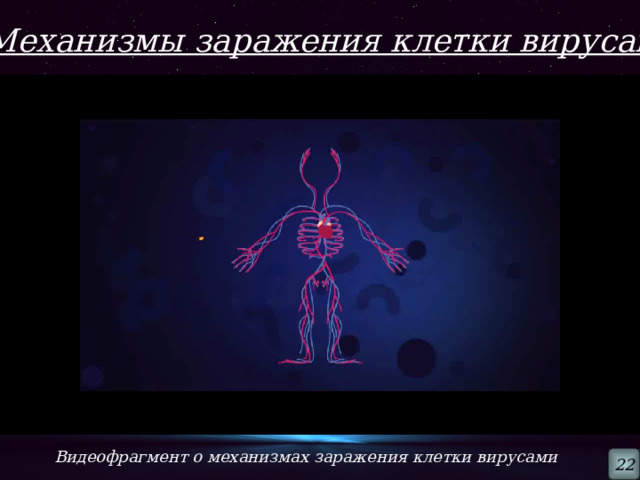 Механизмы заражения клетки вирусами Видеофрагмент о механизмах заражения клетки вирусами 22 