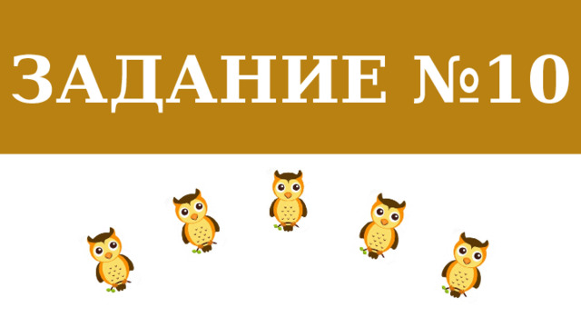 Задание №10  
