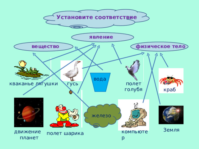 Даны изображения голосеменных отметь изображение соответствующее названию