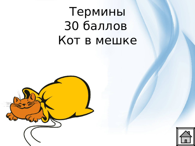  Термины  30 баллов  Кот в мешке 