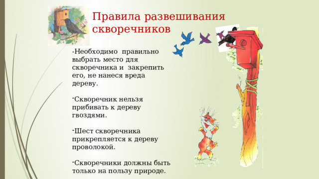 Правила развешивания скворечников -Необходимо правильно выбрать место для скворечника и закрепить его, не нанеся вреда дереву. Скворечник нельзя прибивать к дереву гвоздями. Шест скворечника прикрепляется к дереву проволокой. Скворечники должны быть только на пользу природе. 