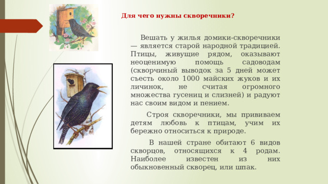 Для чего нужны скворечники?  Вешать у жилья домики-скворечники — является старой народной традицией. Птицы, живущие рядом, оказывают неоценимую помощь садоводам (скворчиный выводок за 5 дней может съесть около 1000 майских жуков и их личинок, не считая огромного множества гусениц и слизней) и радуют нас своим видом и пением.  Строя скворечники, мы прививаем детям любовь к птицам, учим их бережно относиться к природе.   В нашей стране обитают 6 видов скворцов, относящихся к 4 родам. Наиболее известен из них обыкновенный скворец, или шпак. 