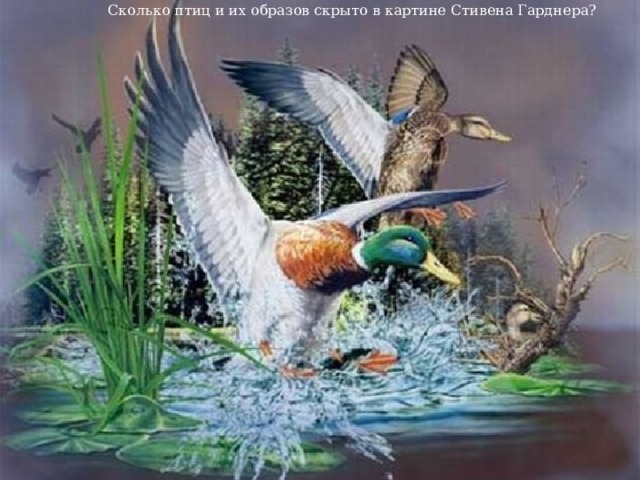 Сколько птиц и их образов скрыто в картине Стивена Гарднера? 