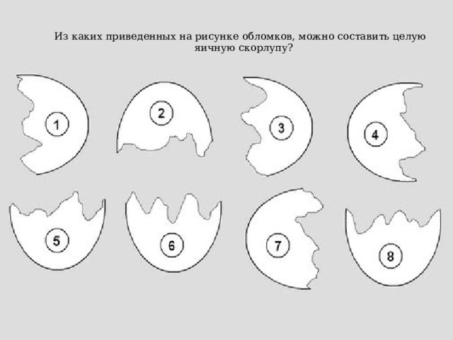 Из каких приведенных на рисунке обломков, можно составить целую яичную скорлупу? 